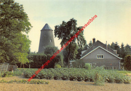 Ekstermolen - Blanden - Oud-Heverlee