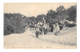 (32841-00) Algérie - Blida - Excursionnistes Montant Au Col De Chréa - Blida