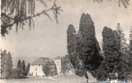 OZON PAR TOURNAY ABBAYE DE L'IMMACULEE CONCEPTION FACADE EST CPSM 9X14 TBE - Tournay