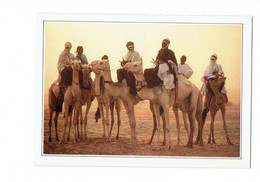 Cpm - NIGER - Teguidda-n-Tessoumt, Le Sel De La Terre - La Cure Salée - TOUAREGS Nomades Des Sables - Sel - - Niger