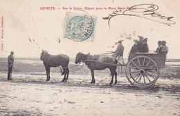 Genets Tres Animée Caleche Sur La Greve Depart Pour Le Mont St  Michel 1905 Top Cliché Houlin Granville - Andere & Zonder Classificatie