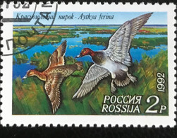 Rossija - Russische Federatie - 11/22 - (°)used - 1992 - Michel 255 - Eenden - Oblitérés