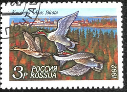 Rossija - Russische Federatie - 11/22 - (°)used - 1992 - Michel 256 - Eenden - Used Stamps