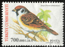 Türkiye Cumhuriyeti - 11/23 - (°)used - 2004 - Michel 3388 - Zangvogels - Used Stamps