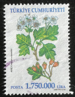 Türkiye Cumhuriyeti - 11/23 - (°)used - 2001 - Michel 3276 - Heilzame Bloemen - Usati