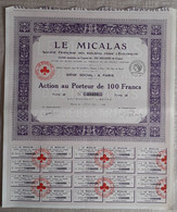 LE MICALAS . SOCIETE FRANCAISE DES ISOLANTS POUR L'ELECTRICITE .  ACTION AU PORTEUR DE 100 FRANCS . TYPE B . - Electricidad & Gas