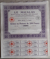 LE MICALAS . SOCIETE FRANCAISE DES ISOLANTS POUR L'ELECTRICITE .  ACTION AU PORTEUR DE 100 FRANCS . TYPE B . - Electricidad & Gas