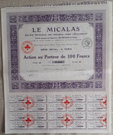 LE MICALAS . SOCIETE FRANCAISE DES ISOLANTS POUR L'ELECTRICITE .  ACTION AU PORTEUR DE 100 FRANCS . TYPE B . - Electricité & Gaz