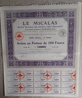 LE MICALAS . SOCIETE FRANCAISE DES ISOLANTS POUR L'ELECTRICITE .  ACTION AU PORTEUR DE 100 FRANCS . TYPE B . - Elettricità & Gas