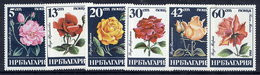 BULGARIA 1985 Roses Set  MNH / **.  Michel 3373-78 - Nuevos