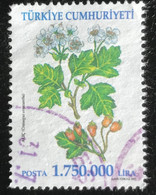 Türkiye Cumhuriyeti - 11/24 - (°)used - 2001 - Michel 3276 - Heilzame Bloemen - Gebruikt