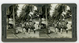Panama Canal Colon ~ HOUSES BUILT FOR FRENCH WORKERS ~ Stereoview 13320 Ve249 - Stereo-Photographie