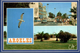 66 ARGELES PLAGE ROND POINT D'ARRIVEE LA PROMENADE - Argeles Sur Mer