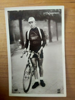Cyclisme - Cycliste- Carte Postale Série AN : SCHEPERS N° 280 - Ciclismo