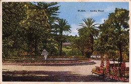 ALGERIE , Cpa   BLIDA , Jardin Bizot   (14187) - Blida