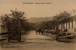 Taza - Girardot - Allée Du Cercle Des Officiers - Maroc Morocco - Otros & Sin Clasificación