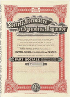 Titre De 1949 - Société Forestière Et Agricole Du Mayumbe - Déco - Uncirculed - - Afrique