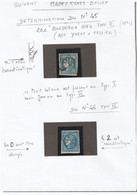 2Timbres  " 20c Bordeaux Bleu " N° 45 Et 46.....bonne Présentation ....à Voir - 1870 Emission De Bordeaux