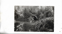 Ancien Pont Sur L'autiz - Coulonges-sur-l'Autize