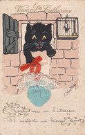 Illustrateur " CHATTERY " - Chat Humanisé  -  Carte à Système  -  Bonnet De Sainte-Catherine  - Cage à Oiseau - Cats