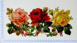 3 CHROMOS DECOUPIS.... ..ROSES ATTACHEES...LONGUEUR 24 Cm - Blumen