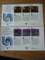 (7) UNITED NATIONS -ONU - NAZIONI UNITE - NATIONS UNIES *  2FDC 1993 * Droits De L'homme Art Painting - Briefe U. Dokumente