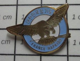 SP11 Pin's Pins / Beau Et Rare / THEME : SPORTS / Encore Des Bagarres En Pyjama ! FRANCE HAPKIDO - Judo