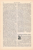 A102 1288 Doppelschrauben-Schnelldampfer Columbia HAPAG Artikel / Bilder 1890 !! - Other & Unclassified