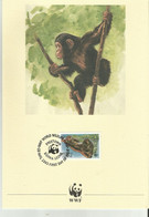 Wwf SIERRA LEONE - Collections, Lots & Series