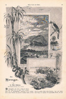 1303 Franz Jüttner Max Schwarze Am Kongo Afrika Artikel / Bilder 1890 !! - Politica Contemporanea