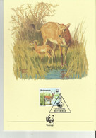 WWF BOTSWANA - Collections, Lots & Series