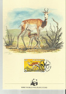 WWF SENEGAL - Verzamelingen & Reeksen