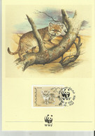 WWF ADEN - Colecciones & Series