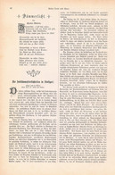 A102 1316 Stuttgart Cannstatter Wasen Wilhelma Artikel / Bilder 1889 !! - Contemporary Politics