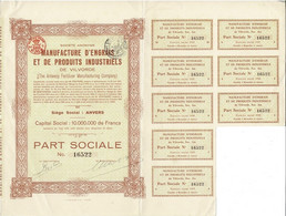 - Titre De 1924 - Manufacture D'Engrais Et De Produits Industriets De Vilvorde - The Anwerp Fertilizer Manufaturing Cy - - Agricultura