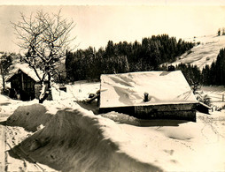 Haut Du Tot * Une Vieille Ferme , Sous La Neige - Sonstige & Ohne Zuordnung