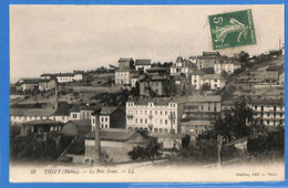 69 - Rhône - Thizy - Le Bois Seme (N9887) - Thizy