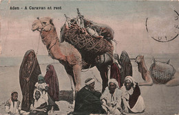 CPA Yémen - Aden - A Caravan At Rest - Chameau - Oblitéré En Egypte En 1910 - Jemen