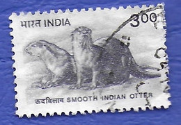 INDE 2000, SMOOTH INDIAN OTTER, ANIMAL, OBLITÉRÉ - Oblitérés