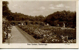 YORKS - SCARBOROUGH - ROSE GARDENS RP  Y3822 - Scarborough