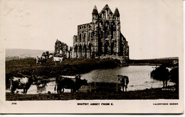 YORKS - WHITBY -   ABBEY FROM E RP  Y3894 - Whitby