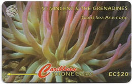 St. Vincent - C&W (GPT) - Giant Sea Anemone - 52CSVG - 1996, 9.900ex, Used - Saint-Vincent-et-les-Grenadines