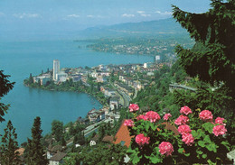 SUISSE,SWITZERLAND,SVIZZERA,SCHWEIZ,VAUD,MONTREUX,TERRITET,CLARENS - Montreux