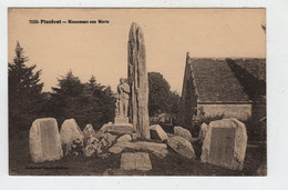 29 PLOZEVET  Monument Aux Morts - Plozevet