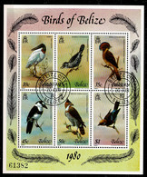 Ref 1563 -  Birds Of Belize 1980 Miniaure Sheet - MS567 - Fine Used - Belize (1973-...)