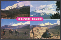 Ecuador El Cayambe - Equateur