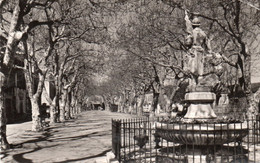 NANS LES PINS LE COURS 1958 CPSM 9X14 TBE - Nans-les-Pins