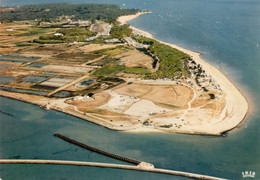 ILE DE NOIRMOUTIER VUE DU CIEL L'ENTREE DU PORT DE NOIRMOUTIER ET LA POINTE DES SABLEAUX 1972 CPSM GM TBE - Noirmoutier