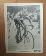 Cyclisme - Cycliste- Carte Publicitaire GLOBO Photo Miroir Sprint  : FACHLEITNER - Ciclismo