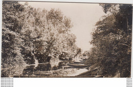 PHOTO CARTE VOUILLE L'AUXANCE BARQUES TBE - Vouille